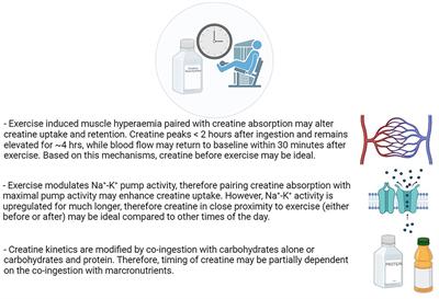 Creatine O'Clock: Does Timing of Ingestion Really Influence Muscle Mass and Performance?